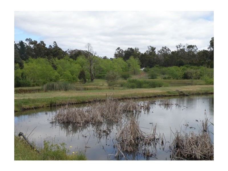 Location 9806 Vasse Hwy, Nannup WA 6275