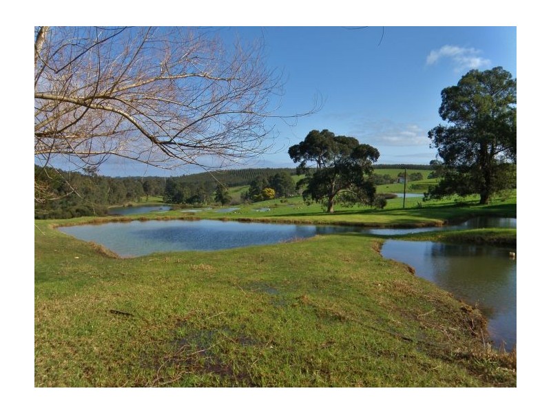 Lot 2 Gold Gully Road, Nannup WA 6275