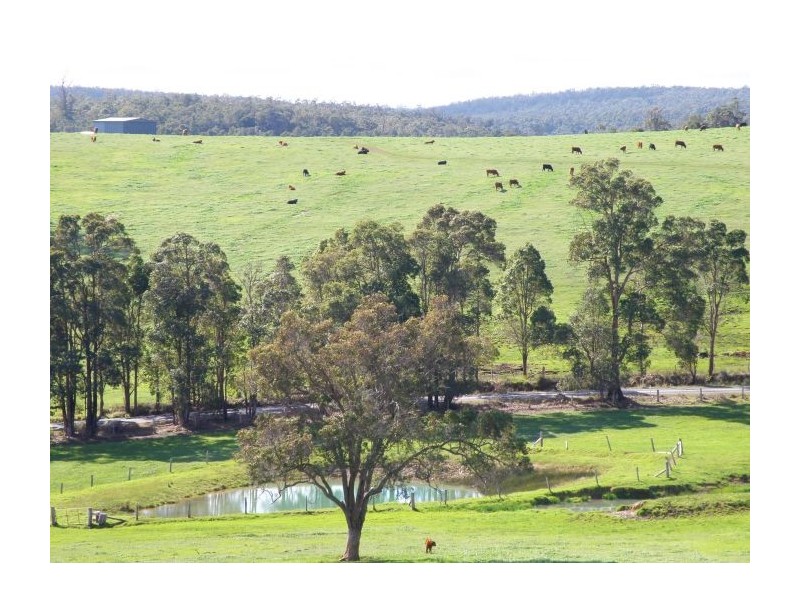 Lot 11211 Graphite Rd, Nannup WA 6275