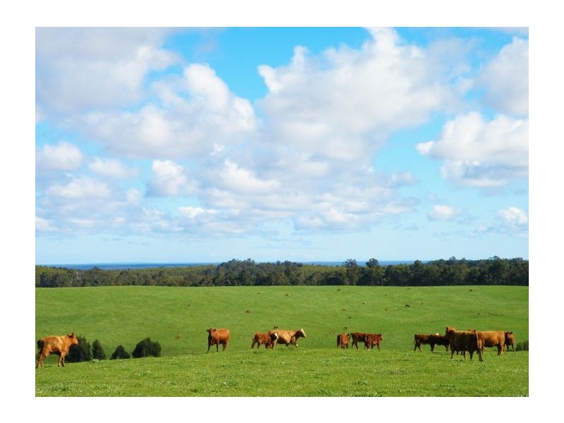 Lot 11211 Graphite Rd, Nannup WA 6275