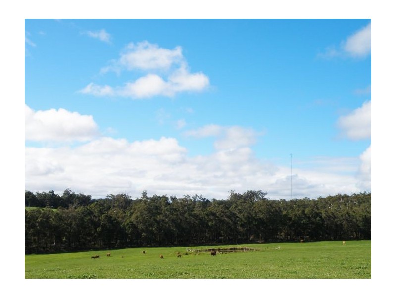 Lot 11211 Graphite Rd, Nannup WA 6275