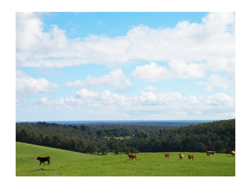 Lot 11211 Graphite Rd, Nannup WA 6275