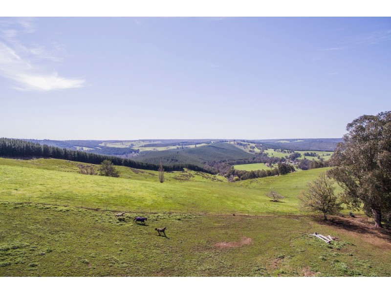 Lots 2 and 21 Maranup – Ford Rd, Nannup WA 6275