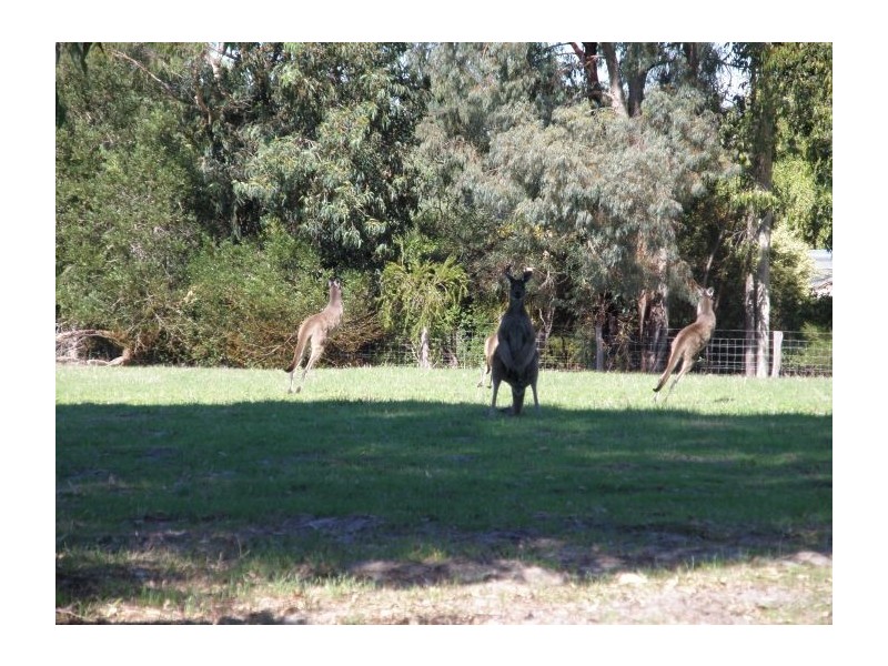 Lot 37 Blackwood River Drive, Nannup WA 6275