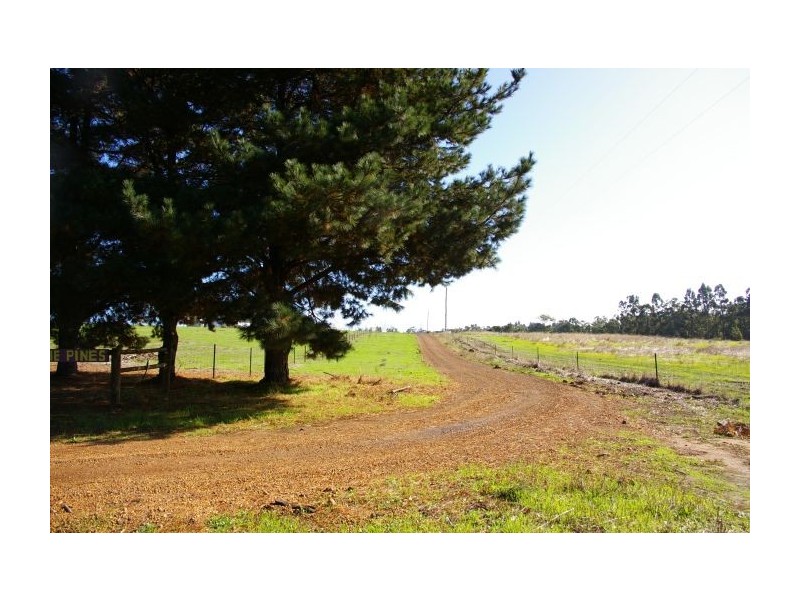 61 Thomas Road, Nannup WA 6275