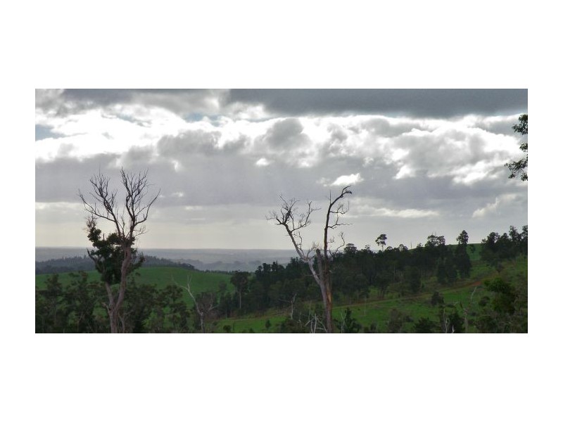 Lot 701 Gold Gully Road, Nannup WA 6275