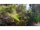 Lot 701 Gold Gully Road, Nannup WA 6275