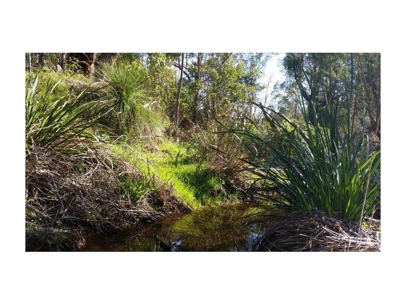 Lot 701 Gold Gully Road, Nannup WA 6275