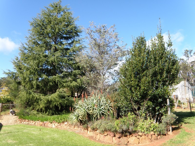 Lot 8930 Chalwell Rd, Nannup WA 6275