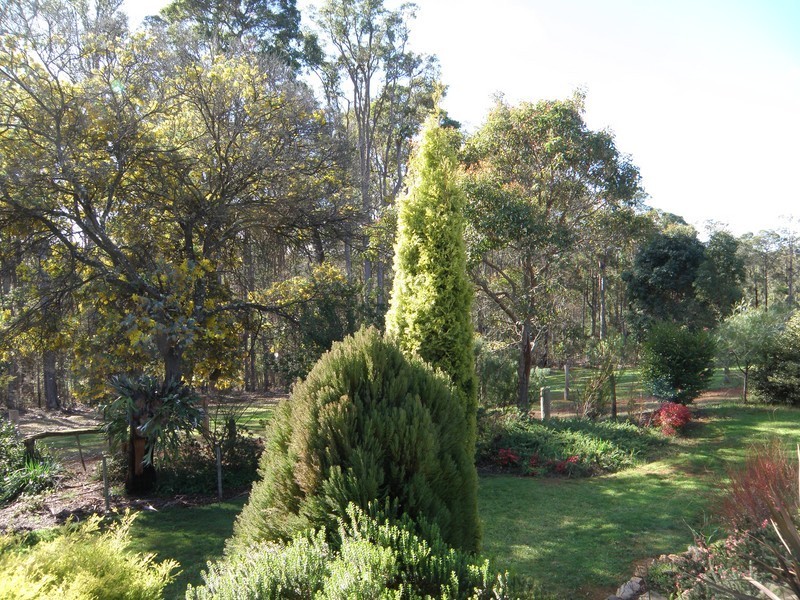 Lot 8930 Chalwell Rd, Nannup WA 6275