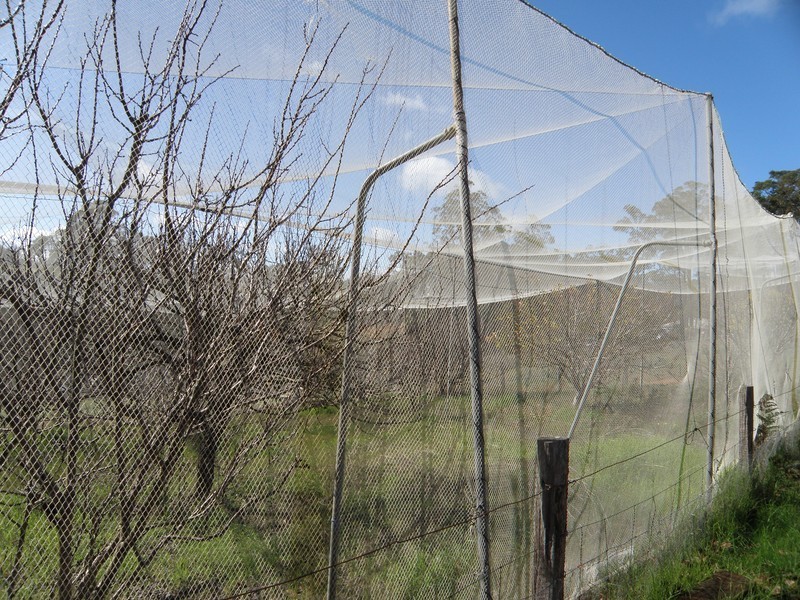 Lot 8930 Chalwell Rd, Nannup WA 6275