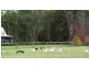 Lot 4027 Barrabup Road, Nannup WA 6275