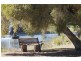 Lot 4027 Barrabup Road, Nannup WA 6275