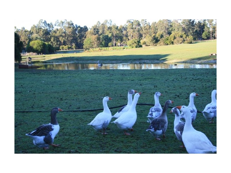 Lot 4027 Barrabup Road, Nannup WA 6275