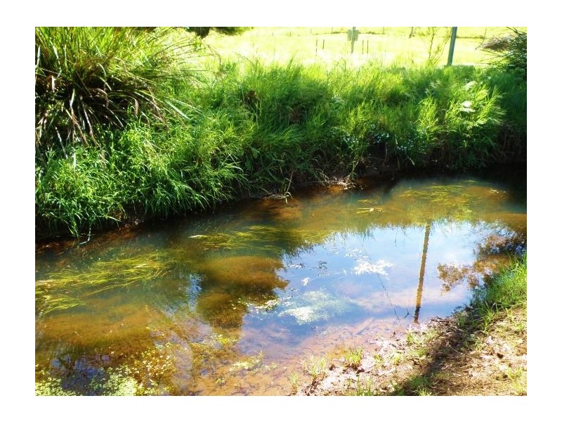 Lot 2 East Nannup Rd, Nannup WA 6275