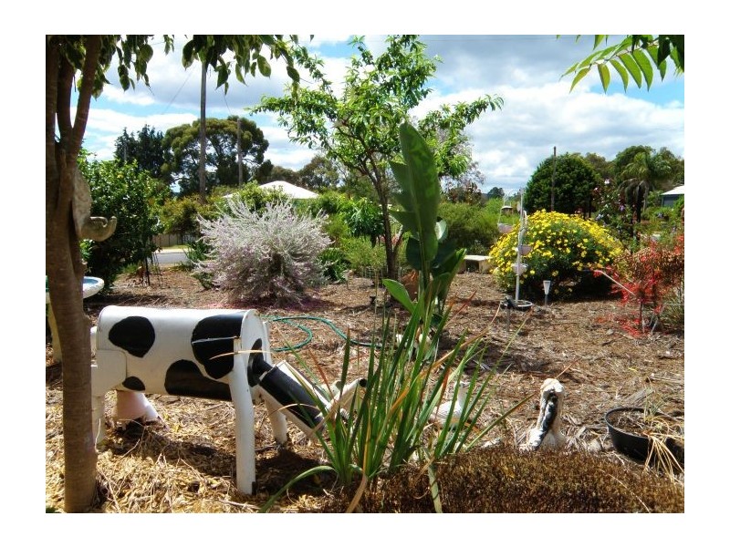 24 Carey St, Nannup WA 6275