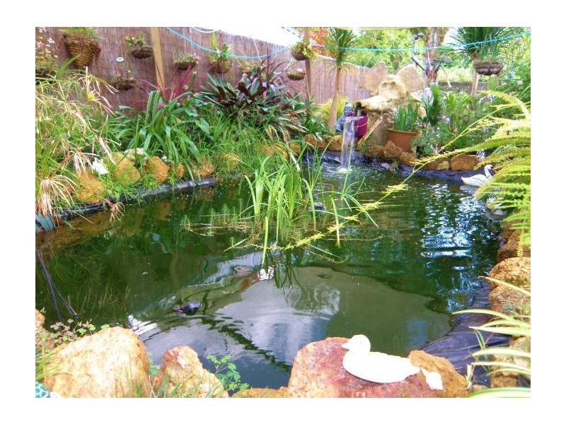 24 Carey St, Nannup WA 6275