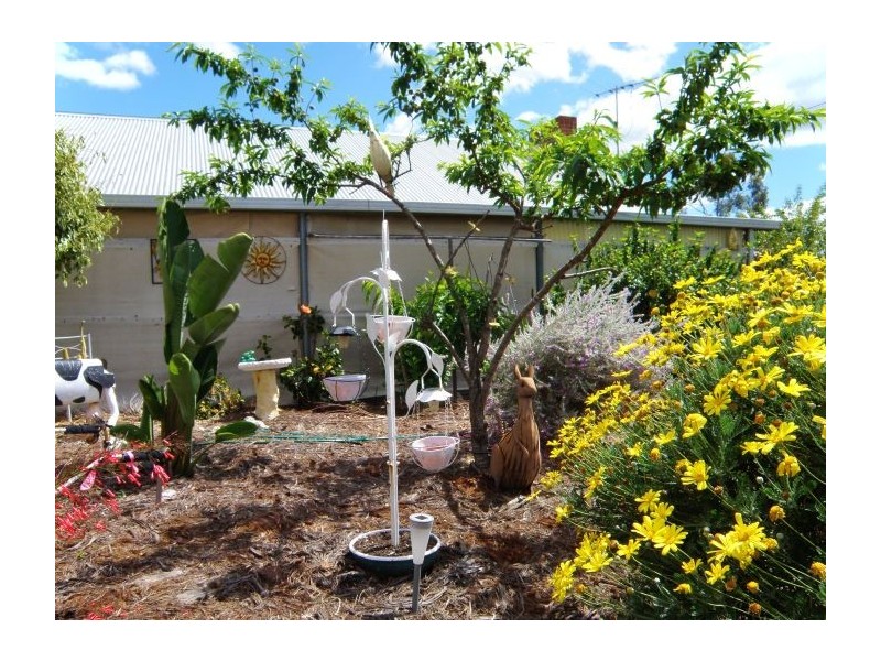 24 Carey St, Nannup WA 6275