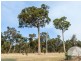 Lot 36 Valley Way, Nannup WA 6275