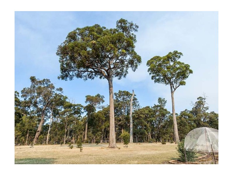 Lot 36 Valley Way, Nannup WA 6275