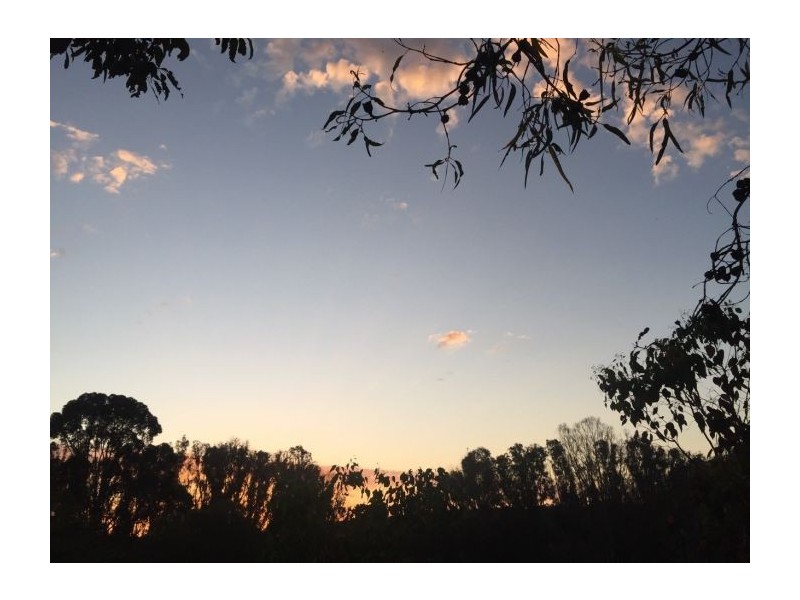 Lot 201 Balingup Nannup Road, Nannup WA 6275