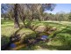 Lot 12363 Cundinup Road, Nannup WA 6275