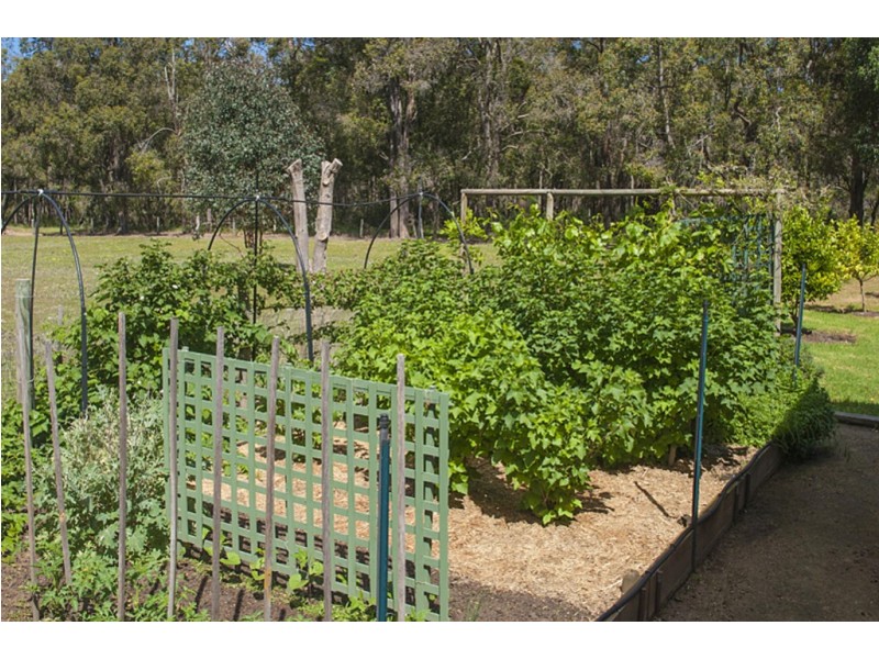 Lot 12363 Cundinup Road, Nannup WA 6275
