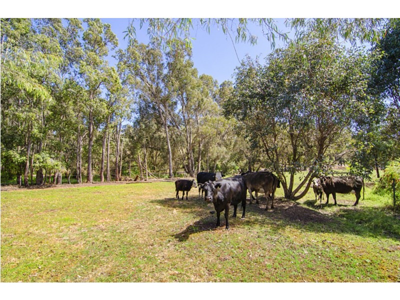 Lot 12363 Cundinup Road, Nannup WA 6275