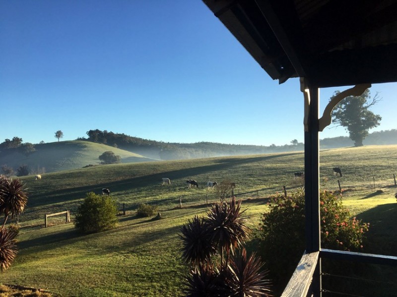 Lot 421 Gublers Road, Balingup WA 6253