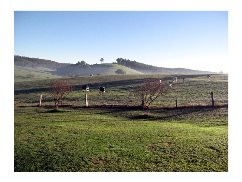 Lot 421 Gublers Road, Balingup WA 6253