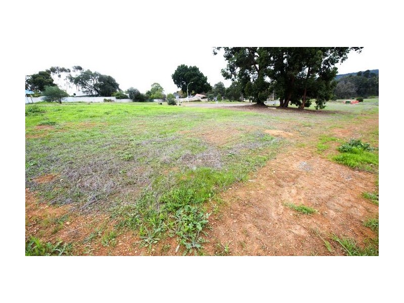 19 McAlpine Mews, Nannup WA 6275