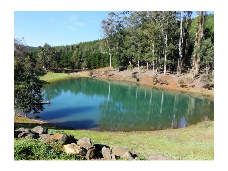 1435 Balingup Nannup Rd, Nannup WA 6275