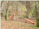 1435 Balingup Nannup Rd, Nannup WA 6275