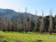 1435 Balingup Nannup Rd, Nannup WA 6275