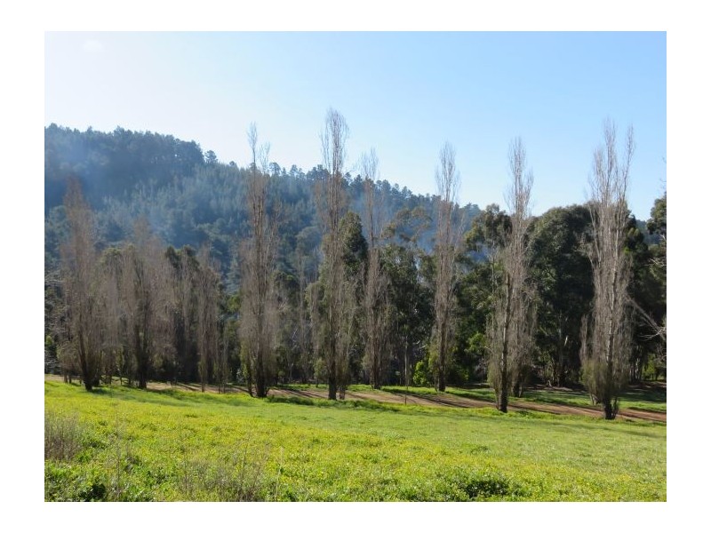 1435 Balingup Nannup Rd, Nannup WA 6275