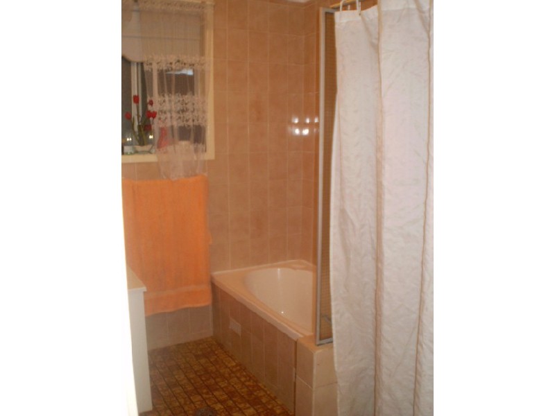 53 Don Mills Ave, Hebersham NSW 2770