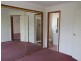 17 Tulloona St, Mount Druitt NSW 2770
