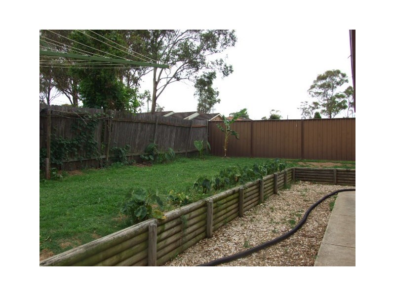 17 Tulloona St, Mount Druitt NSW 2770
