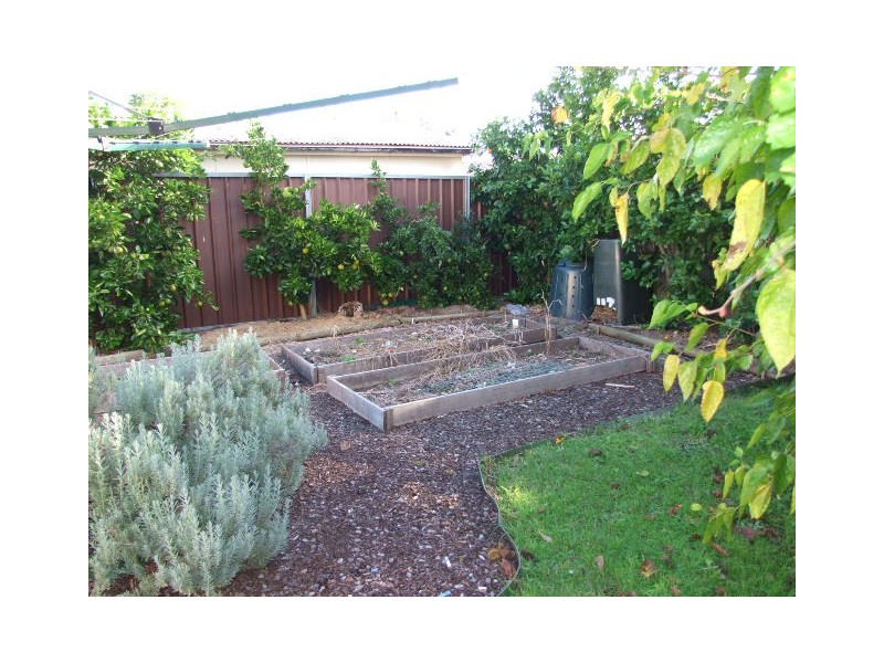 211 Popondetta Road, Blackett NSW 2770