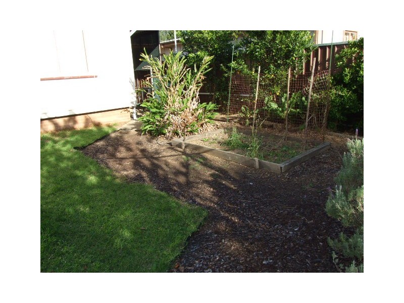 211 Popondetta Road, Blackett NSW 2770