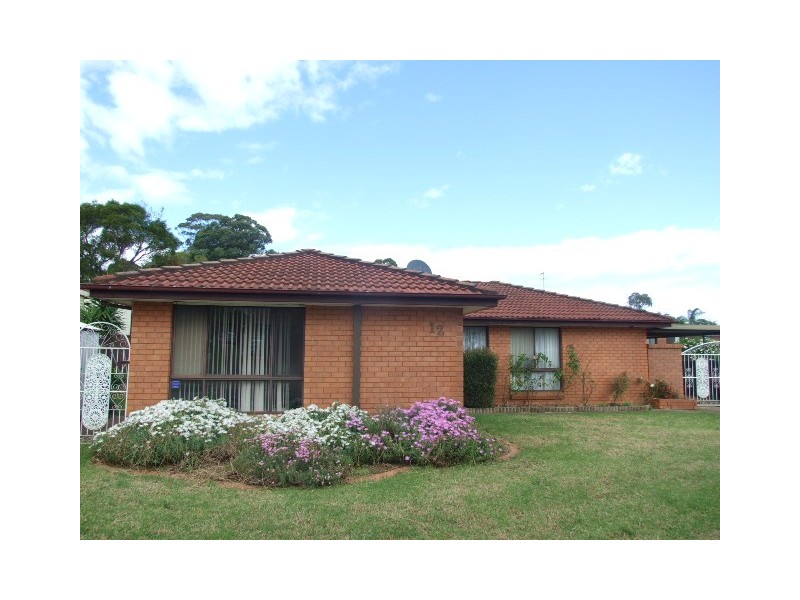 12 Shearer Street, St Clair NSW 2759