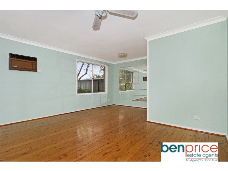 4 Palm Place, Bidwill NSW 2770