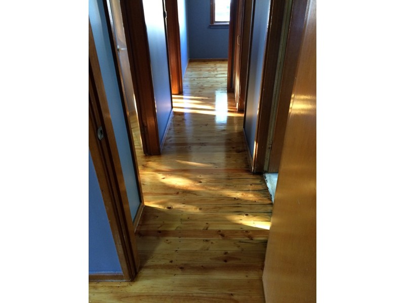 37 Parkes Crescent, Blackett NSW 2770