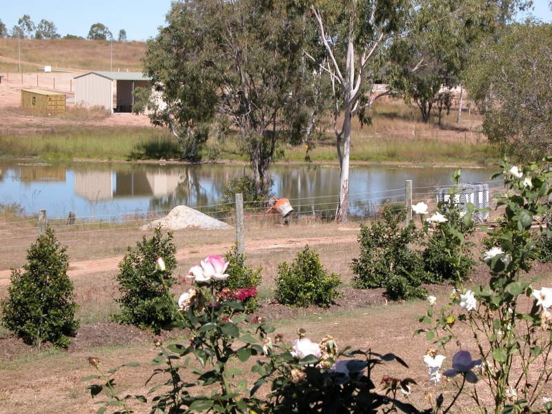 17 Ningana Court, Calliope QLD 4680