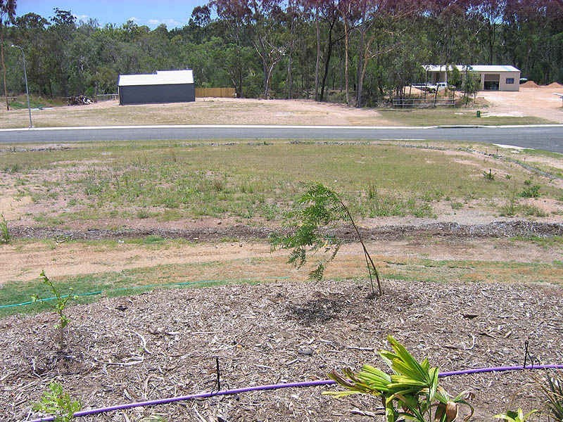 Lot 42 Wynand Ave, Benaraby QLD 4680