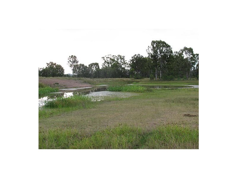 25 Gostevsky Road, Mount Larcom QLD 4695