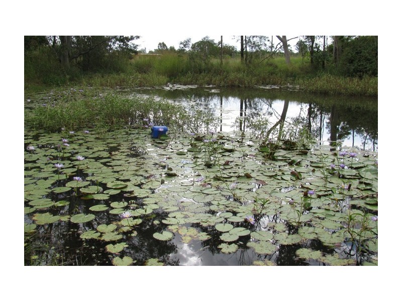 350 Monto Road, Calliope QLD 4680