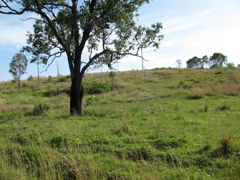 Lot 8 Deep Creek Road, Calliope QLD 4680
