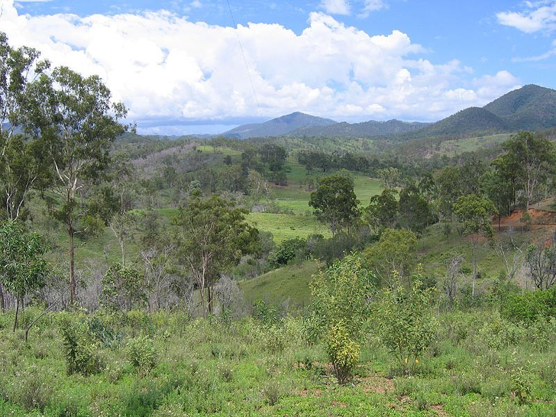 163 Cedar Creek Road, Calliope QLD 4680