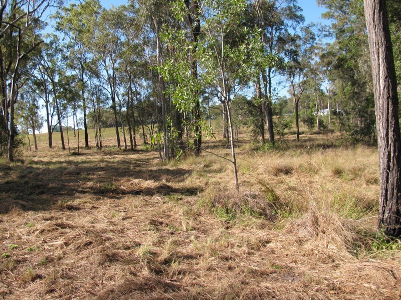 Lot 55 Messmate Drive, Miriam Vale QLD 4677